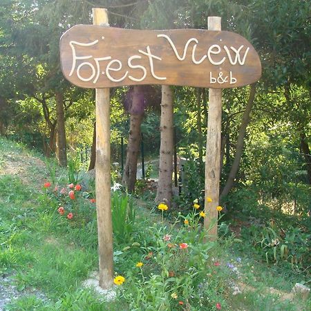 غافي Forest View B&B المظهر الخارجي الصورة
