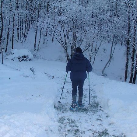 غافي Forest View B&B المظهر الخارجي الصورة