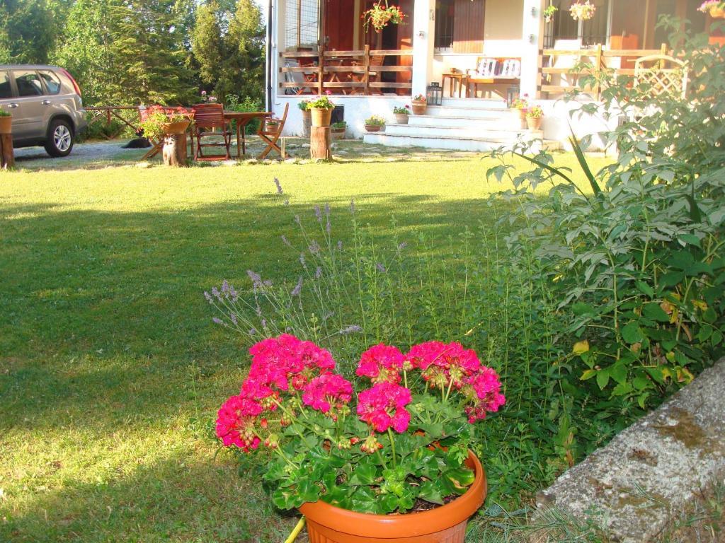 غافي Forest View B&B المظهر الخارجي الصورة